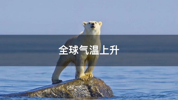 螞蟻商聯(lián)攜手金好來超市發(fā)起“以竹代木，翠我山河”植樹節(jié)活動(dòng)，從改變生活習(xí)慣開始！喊你為公益接力~